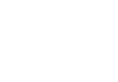 Логотип Premier Development