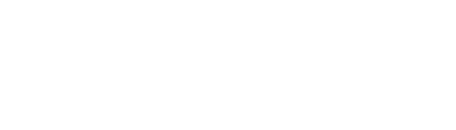 Anta Group logo